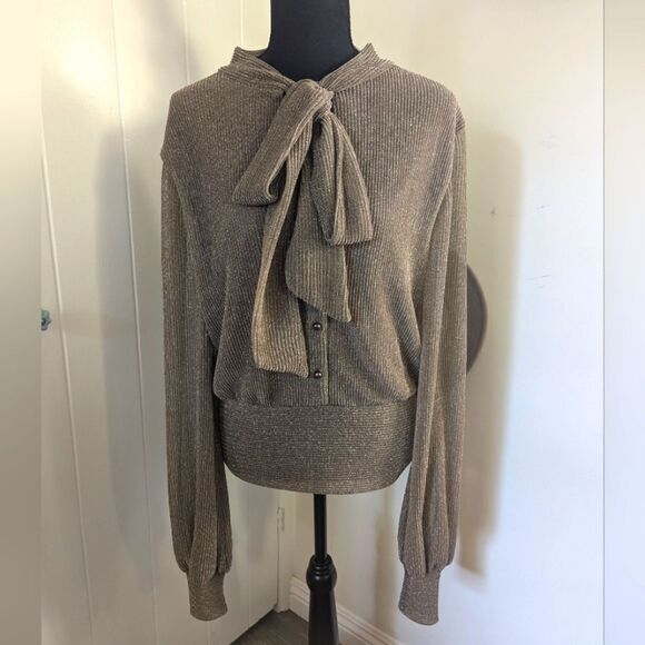 Kristinit Metallic Sheer Blouse Whimsigoth Office Siren Feminine Romantic L - Picture 1 of 10